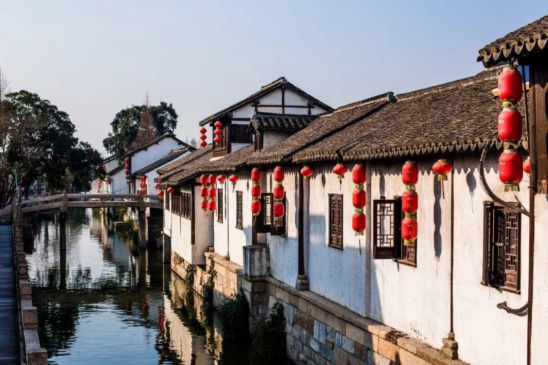 救援受困的火鸡